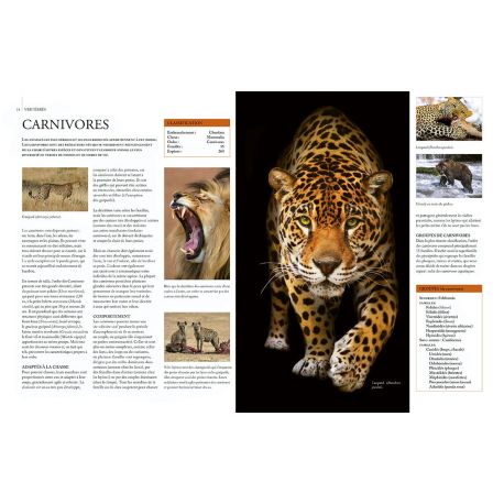 ENCYCLOPÉDIE ILLUSTRÉE DU RÈGNE ANIMAL