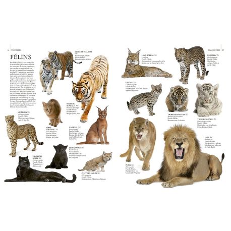 ENCYCLOPÉDIE ILLUSTRÉE DU RÈGNE ANIMAL
