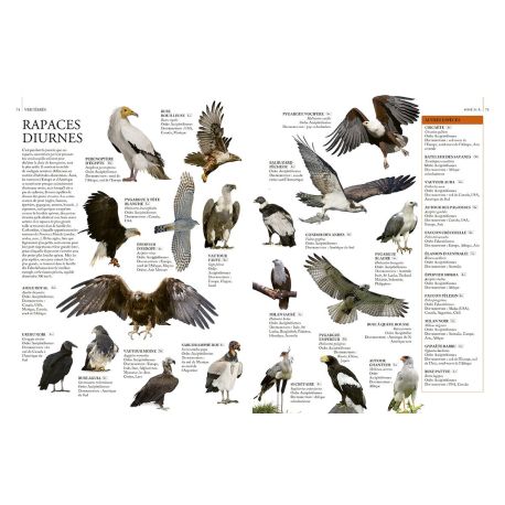 ENCYCLOPÉDIE ILLUSTRÉE DU RÈGNE ANIMAL