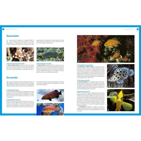 ENCYCLOPEDIE PRATIQUE DE L AQUARIUM