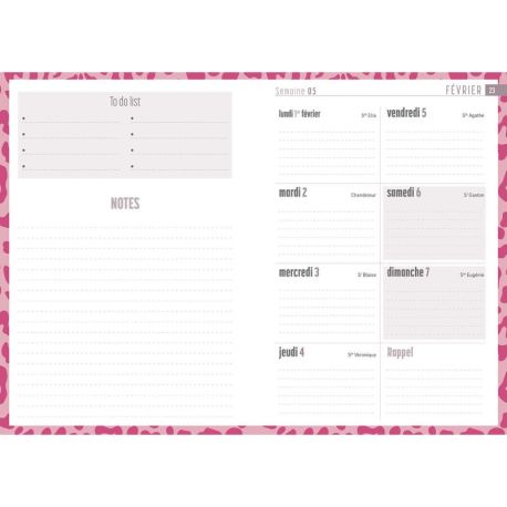 AGENDA CHAT 2027