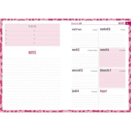 AGENDA CHAT 2027