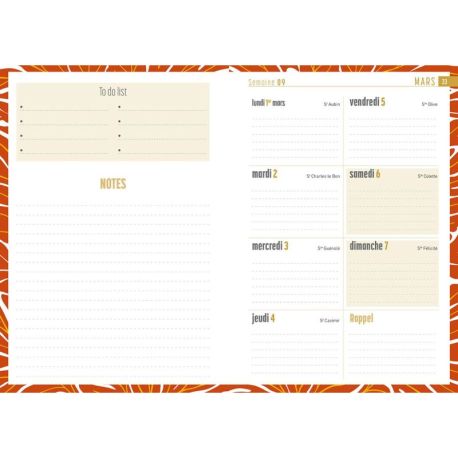 AGENDA OCEAN 2027