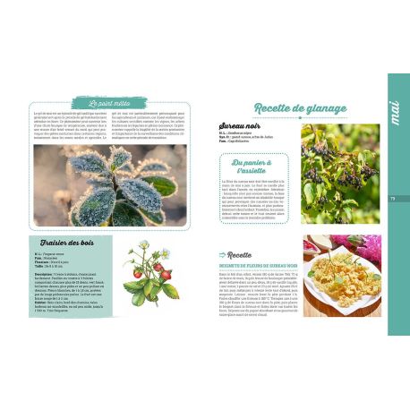 L'ALMANACH DE LA NATURE 2027