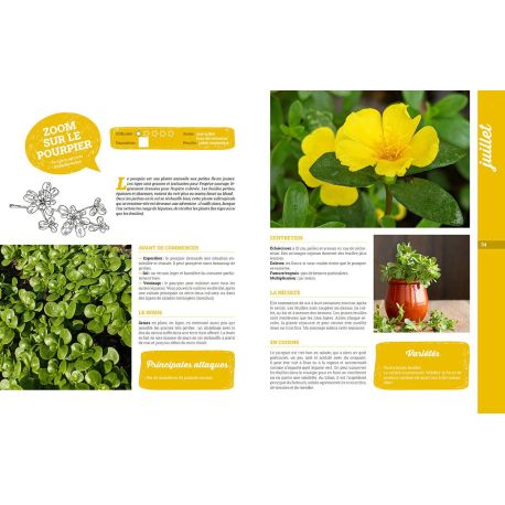 L'ALMANACH DU JARDINIER 2027