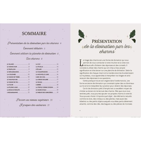 COFFRET LA DIVINATION PAR LES CHARMS - 24 CHARMS+1 PLANCHE DE DIVINATION+1 ETUI VELOURS+1 GUIDE