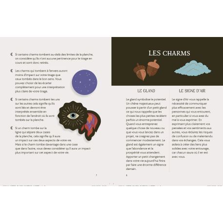 COFFRET LA DIVINATION PAR LES CHARMS - 24 CHARMS+1 PLANCHE DE DIVINATION+1 ETUI VELOURS+1 GUIDE