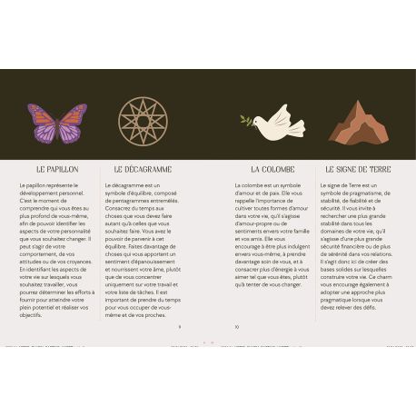 COFFRET LA DIVINATION PAR LES CHARMS - 24 CHARMS+1 PLANCHE DE DIVINATION+1 ETUI VELOURS+1 GUIDE