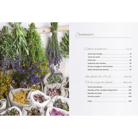 SECRETS DES PLANTES POUR SE SOIGNER NATURELLEMENT