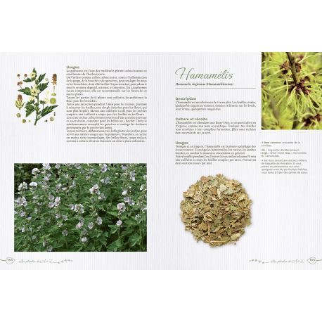 SECRETS DES PLANTES POUR SE SOIGNER NATURELLEMENT