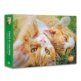 CHATS ET CHATONS 2027 AGENDA - CALENDRIER