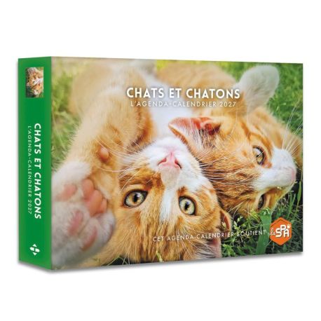 CHATS ET CHATONS 2027 AGENDA - CALENDRIER
