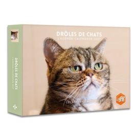 DROLES DE CHATS 2027 AGENDA - CALENDRIER