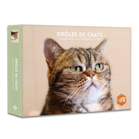 DROLES DE CHATS 2027 AGENDA - CALENDRIER