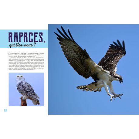 MA PETITE ENCYCLO DES RAPACES