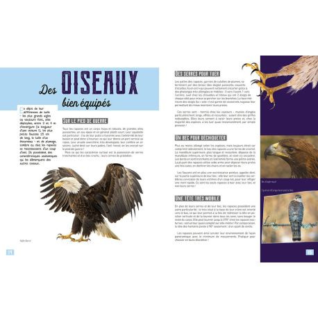 MA PETITE ENCYCLO DES RAPACES