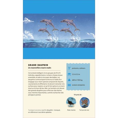 PLONGE DANS L'OCÉAN EN 3D