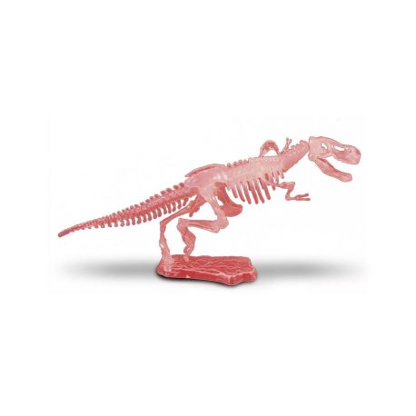 MAQUETTE DINO TYRANNOSAURE PHOSPHORESCENT