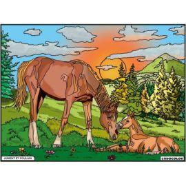 TABLEAU VELOURS - JUMENT ET POULAIN