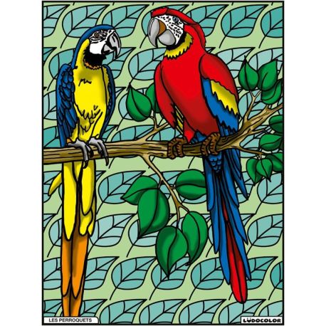 TABLEAU VELOURS - LES PERROQUETS