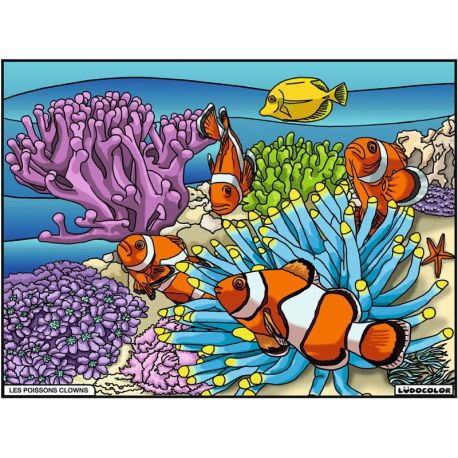 TABLEAU VELOURS - LES POISSONS CLOWNS