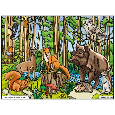 TABLEAU VELOURS - LES ANIMAUX DE LA FORET