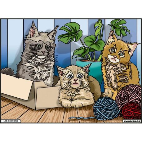 TABLEAU VELOURS - LES CHATONS