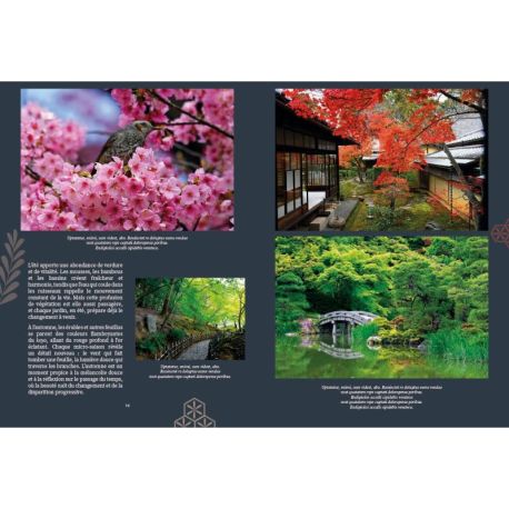 JARDINS EXTRAORDINAIRES DU JAPON