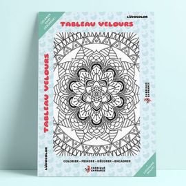 TABLEAU VELOURS - MANDALA FLORAL