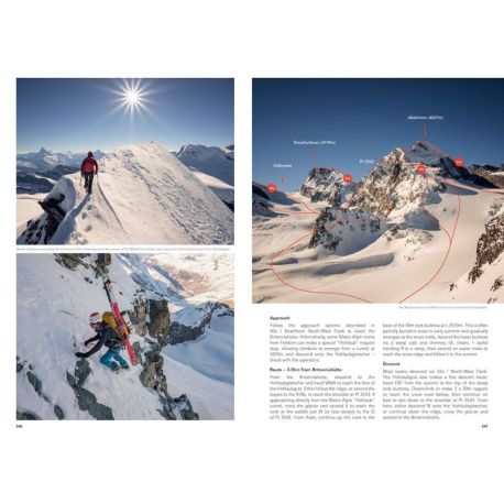 The 4000m peaks of the Alps Volume 2 : Central