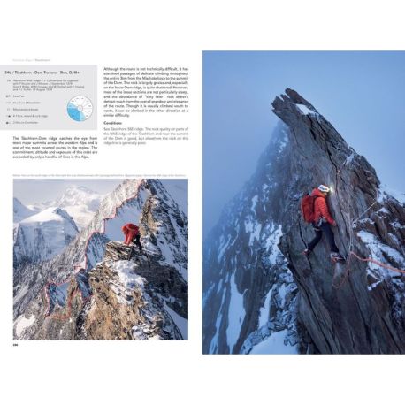 The 4000m peaks of the Alps Volume 2 : Central