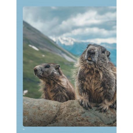 ALPES SAUVAGES - 120 SITES NATURELS A TRAVERS LES ALPES