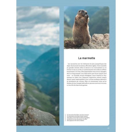 ALPES SAUVAGES - 120 SITES NATURELS A TRAVERS LES ALPES