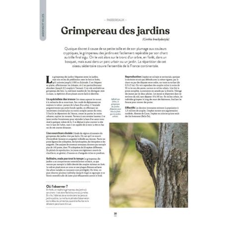 LE GRAND ATLAS DES OISEAUX