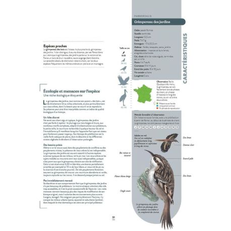 LE GRAND ATLAS DES OISEAUX