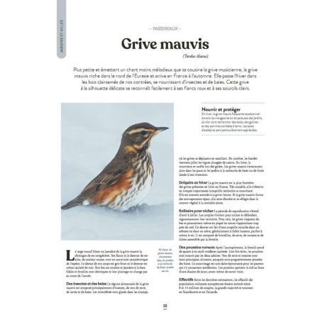 LE GRAND ATLAS DES OISEAUX