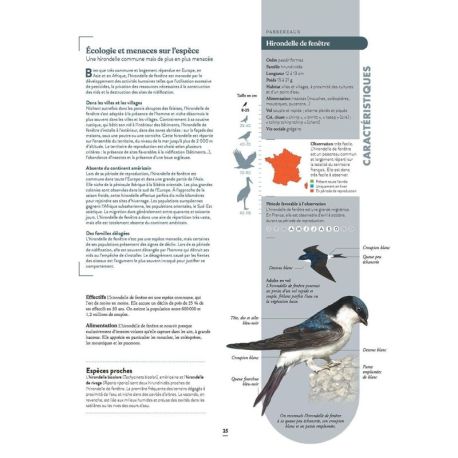 LE GRAND ATLAS DES OISEAUX