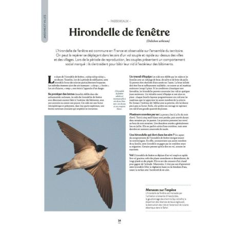 LE GRAND ATLAS DES OISEAUX