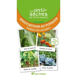 ASSOCIATIONS AU POTAGER -MARIEZ VOS LEGUMES ! LES ANTISECHES DE TERRE VIVANTE