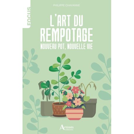 L'art du rempotage, nouveau pot, nouvelle vie !