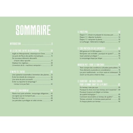 L'art du rempotage, nouveau pot, nouvelle vie !