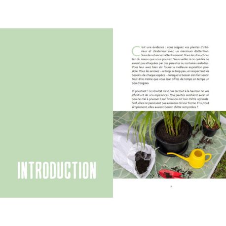L'art du rempotage, nouveau pot, nouvelle vie !