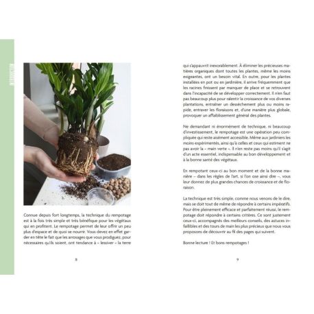 L'art du rempotage, nouveau pot, nouvelle vie !