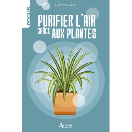 Purifier l'air grâce aux plantes