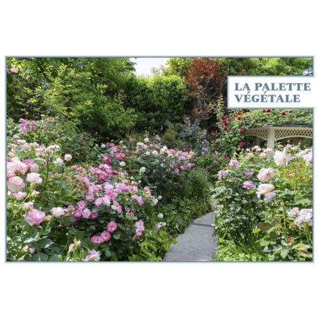 Jardin romantique