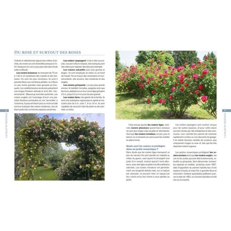 Jardin romantique