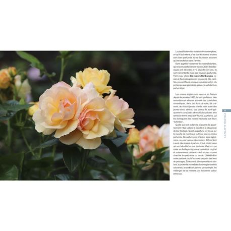 Jardin romantique