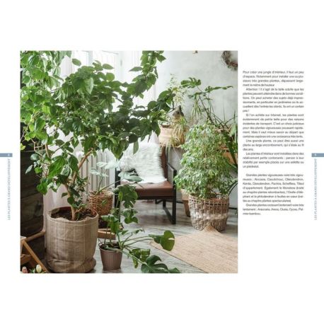 Jungle intérieure