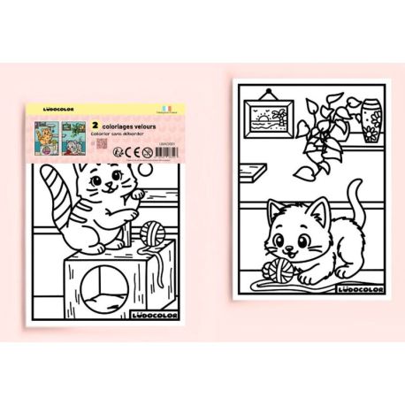 MINI DUOS VELOURS - CHATONS