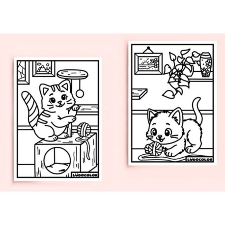 MINI DUOS VELOURS - CHATONS
